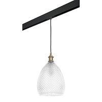 Комплект с трековым светильником Lightstar Genni (798021+595007) PRO798021