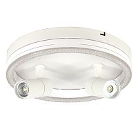 Настенно-потолочный свет Escada 20044SMA/03 LED 43W 4000K белый