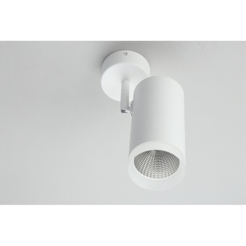 Светильник настенно-потолочный OML-102609-20 фото 5