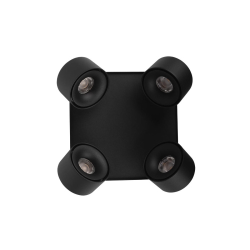 10326 Black Накладной светильник LOFT IT Case фото 5