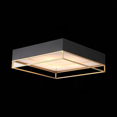 SL1127.422.05 Светильник потолочный ST-Luce Черный, Матовое золото/Белый E27 5*40W CHODO фото 4