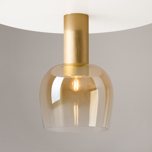 Потолочный светильник Maytoni MOD414CL-01G фото 6