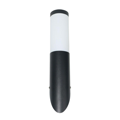 Уличный настенный светильник Arte Lamp Salire A3157AL-1BK фото 2