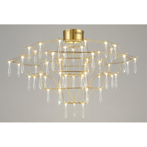 Люстра подвесная OML-95503-57 фото 6