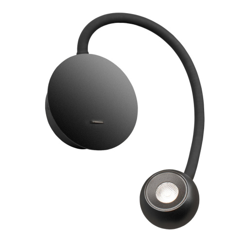 10254 Black Настенный светильник LOFT IT Point фото 3