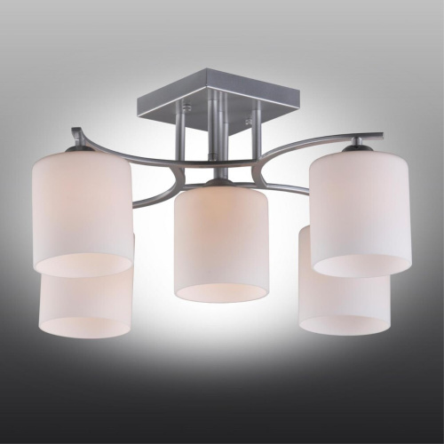 Люстра потолочная OML-55307-05 фото 3 Люстра потолочная OML-55307-05 фото 3