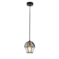 Подвесной светильник 10011/1P Black