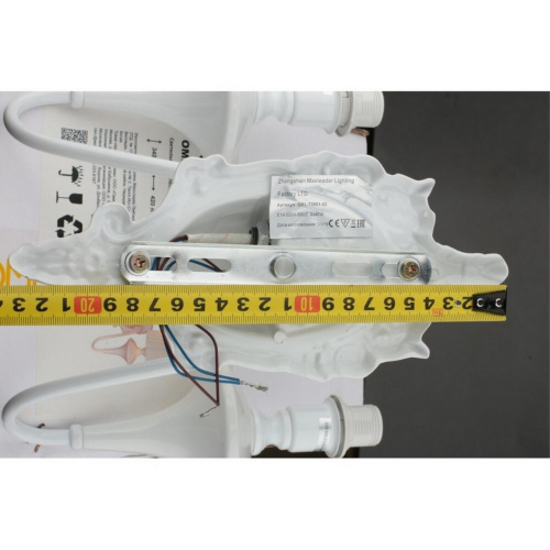 Светильник настенный (Бра) OML-72501-02 фото 6