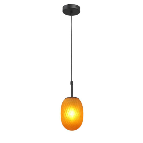 Потолочная люстра Vitaluce V2821-1/1S Потолочная люстра Vitaluce V2821-1/1S