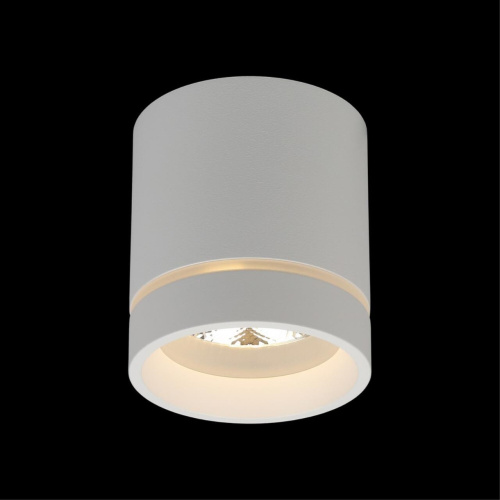 Светильник встраиваемый-накладной APL.0043.09.05 фото 2