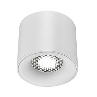 ST761.533.10 Светильник потолочный белый LED 1*10W 3000K 530Lm Ra 36° IP20 D80xH70 170-240VV Накладные светильники