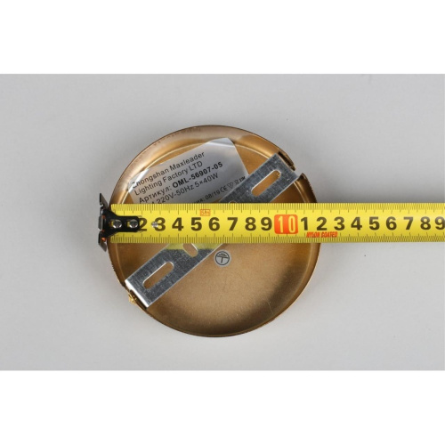 Люстра потолочная OML-56907-05 фото 6