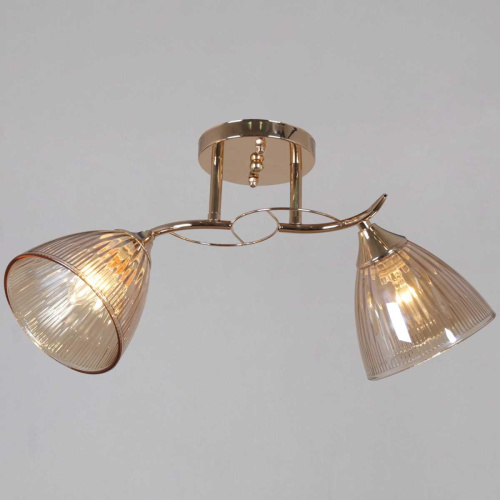 Потолочная люстра Reluce 02560-0.3-02 FG Потолочная люстра Reluce 02560-0.3-02 FG