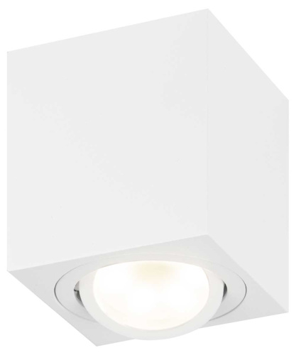 Накладной светильник ЭРА OL22 WH Б0054394 фото 3