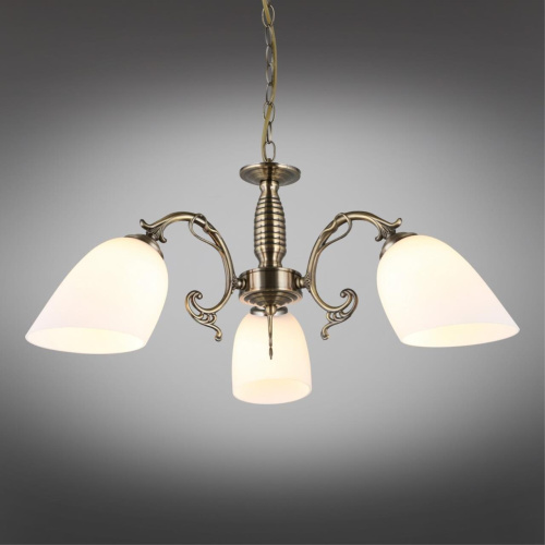 Люстра подвесная OML-56407-03 фото 3 Люстра подвесная OML-56407-03 фото 3