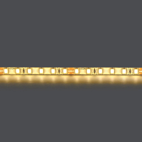 Светодиодная влагозащищенная лента Lightstar 12W/m 120LED/m теплый белый 5M 420553 фото 2
