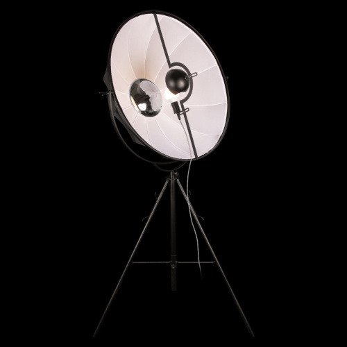 10301/L Торшер LOFT IT Studio фото 3