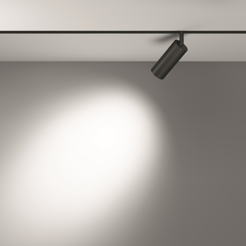 Трековый светильник Technical TR032-2-12W4K-S-B фото 6