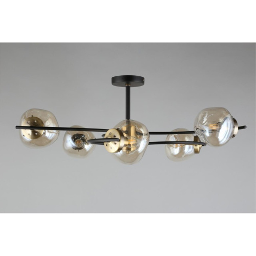 Люстра потолочная OML-95307-06 фото 13