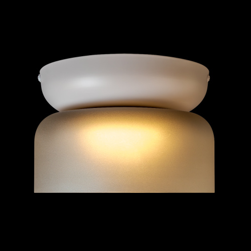 10466 Smoke matte Потолочный светильник LOFT IT Totem фото 2