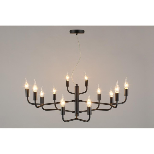 Люстра подвесная APL.338.13.12 фото 5