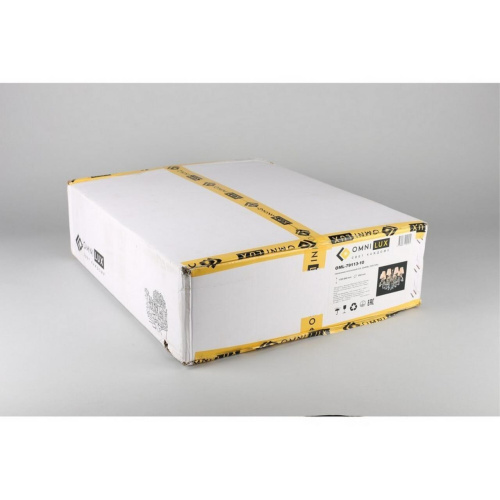 Люстра подвесная OML-79113-10 фото 2