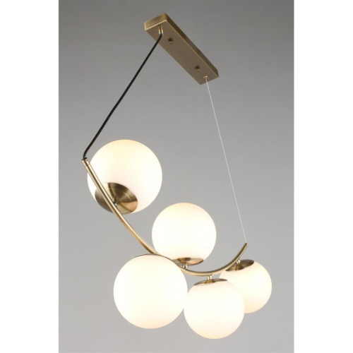 Люстра подвесная OML-94903-05 фото 8