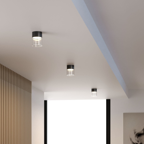 Светильник потолочный светодиодный 10W 4000К черный/прозрачный 25047/LED фото 2