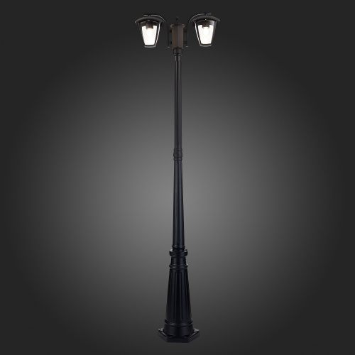 SL081.405.02 Светильник уличный наземный ST-Luce Черный/Черный, Прозрачный E27 2*40W SIVINO фото 15