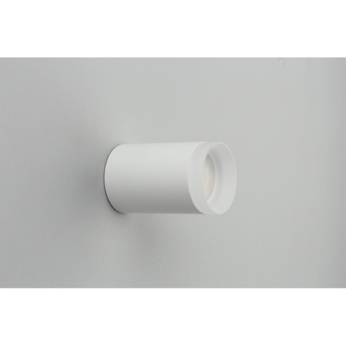 Светильник встраиваемый-накладной OML-100709-01 фото 4