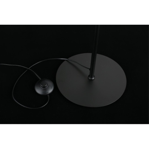 Торшер APL.312.05.04 фото 14