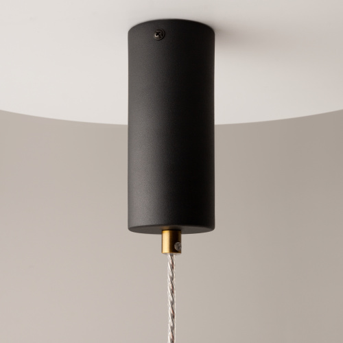 Подвесной светильник Maytoni MOD295PL-L20BS3K фото 7