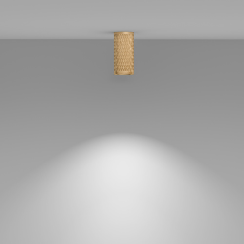 Потолочный светильник Technical C036CL-01G фото 2