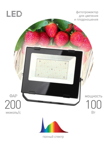 Прожектор светодиодный для растений ЭРА 100W 4000K Fito-100W-Ra90-Led Б0047876 фото 5
