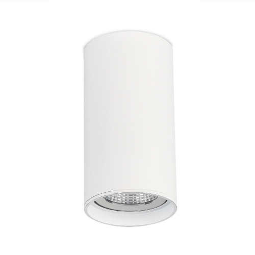 ST157.532.15 Светильник потолочный Белый LED 1*15W 3000K 1 200Lm Ra>90 60° IP44 D75xH140 220-265V Накладные светильники фото 2