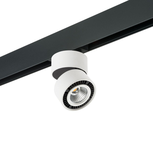 Комплект с трековым светильником Lightstar Forte Muro (595061+214816) PRO214816