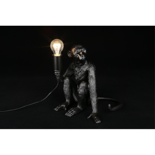 Настольная лампа APL.309.24.01 фото 4 Настольная лампа APL.309.24.01 фото 4