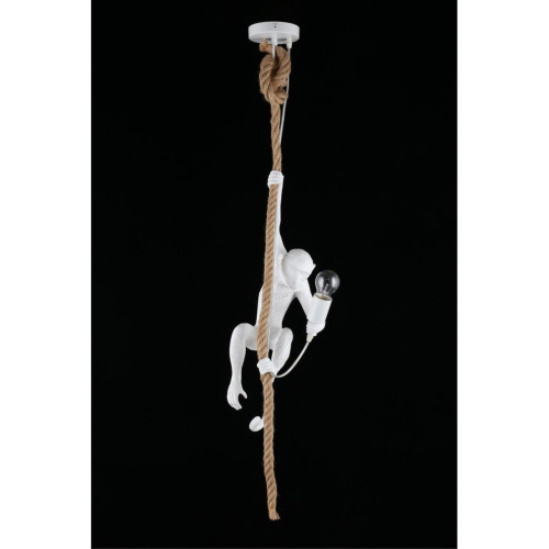 Светильник подвесной APL.309.06.01 фото 10