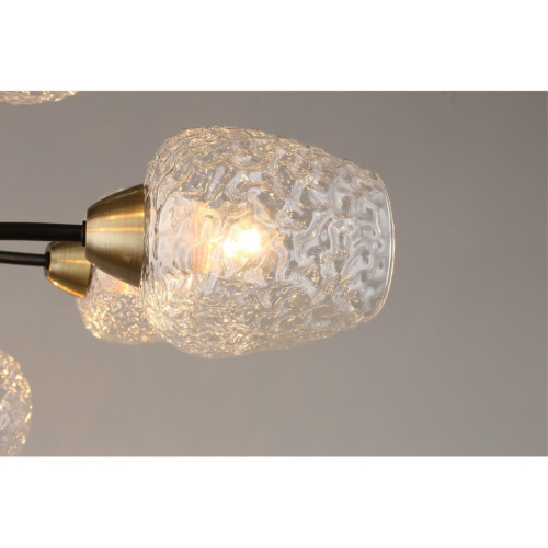 Люстра потолочная OML-67807-08 фото 6 Люстра потолочная OML-67807-08 фото 6