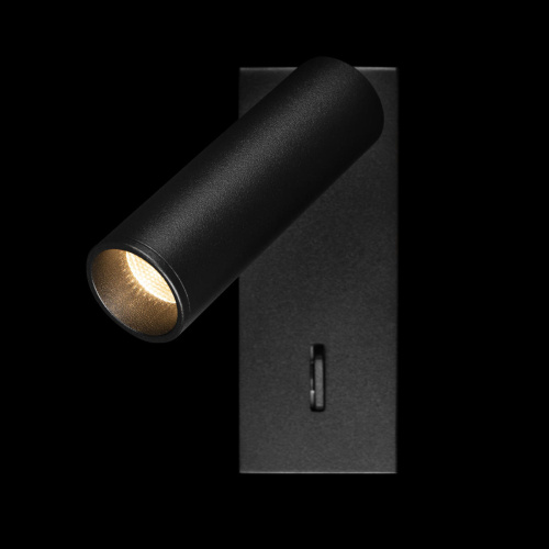 10260/1W Black Настенный светильник LOFT IT Sign фото 3