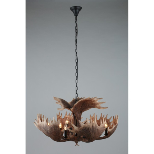 Люстра подвесная OML-52203-12 фото 5