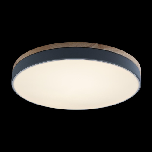 10001/36 Grey Потолочный светильник LOFT IT Axel фото 4