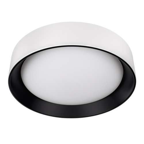 10202 WB Потолочный светильник LOFT IT Coin 10202 WB Потолочный светильник LOFT IT Coin