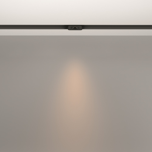 Трековый светильник Technical TR100-2-2W3K-S-B фото 14