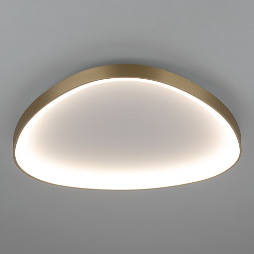 Потолочный светодиодный светильник Citilux Genka Smart CL756A162 фото 8 Потолочный светодиодный светильник Citilux Genka Smart CL756A162 фото 8