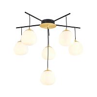 Потолочная люстра Favourite Paramount 3047-6P