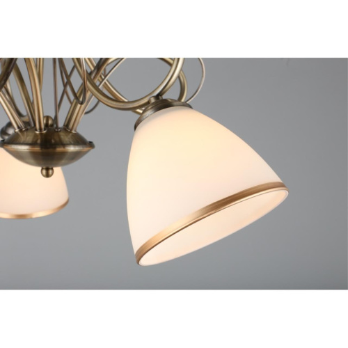 Люстра потолочная OML-25307-05 фото 6