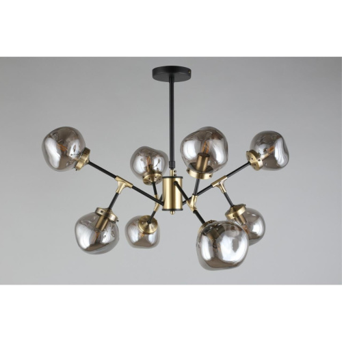 Люстра потолочная OML-95207-08 фото 5