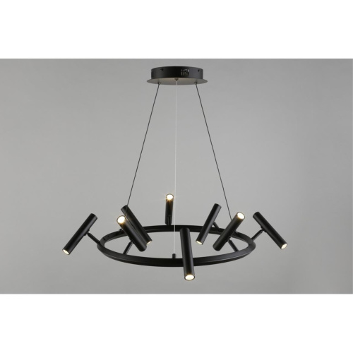 Люстра подвесная APL.067.03.40 фото 6