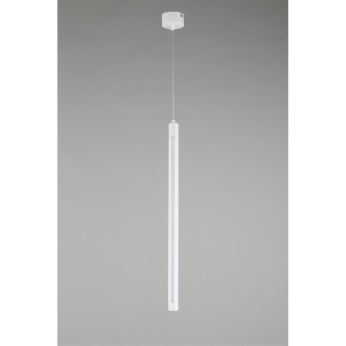 Светильник подвесной OML-102006-17 фото 4